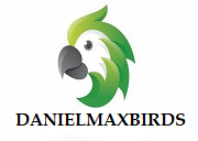 DanielMaxBirds