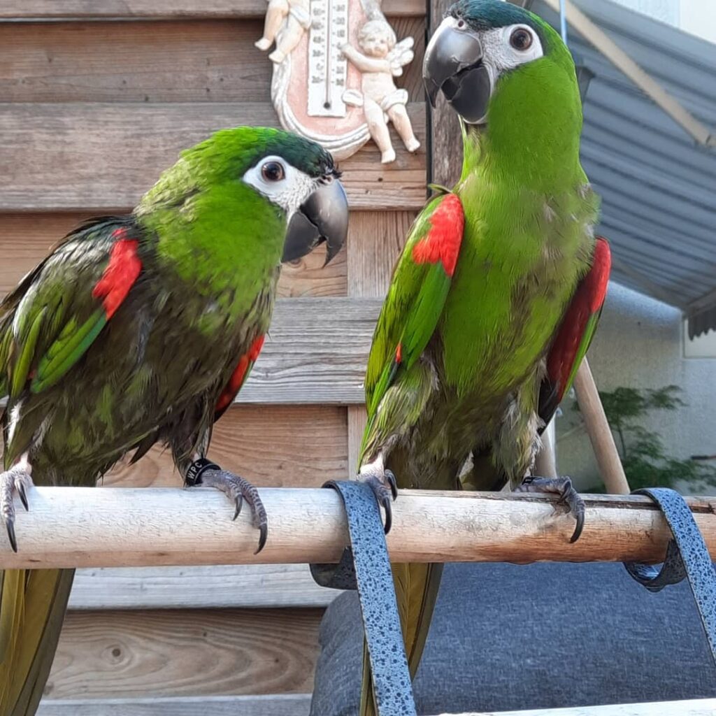 WhatsApp Image 2021-10-02 at 2.44.00 AM