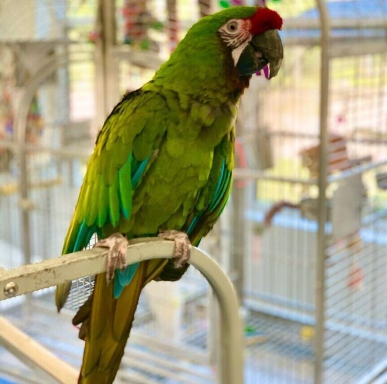 WhatsApp Image 2021-10-02 at 2.51.17 AM