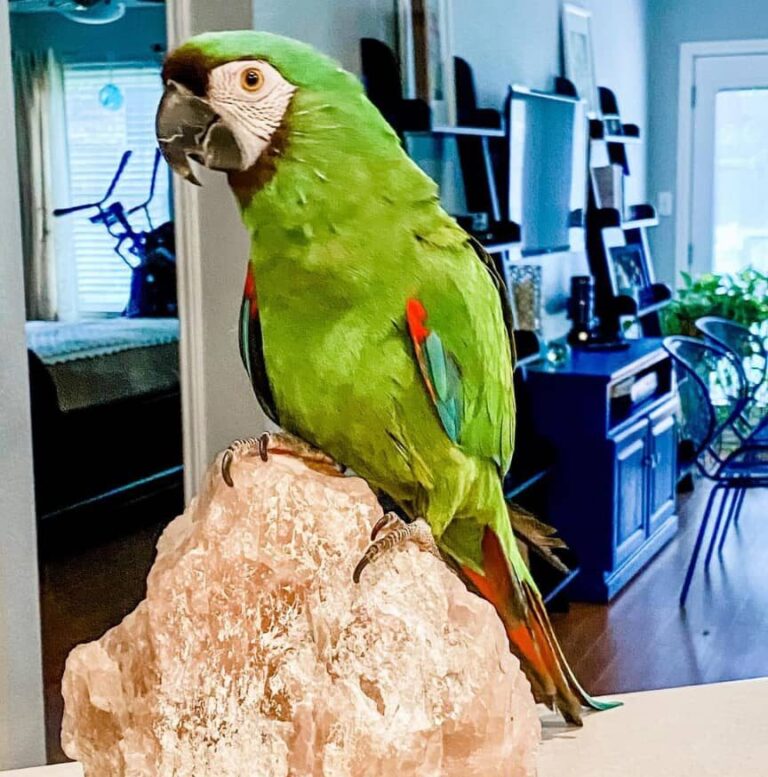 WhatsApp Image 2021-10-02 at 2.56.23 AM