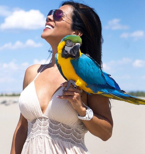 birds for sale near me, birds for sale near me by owner, exotic birds for sale in illinois, birds for sale in chicago, il, birds for sale in indiana, exotic birds for sale near me, birds for sale peoria, il, talking birds for sale, toucans for sale near Illinois, toucans for sale near Alabama, baby toucan for sale florida, toco toucans for sale, toucans for sale in georgia, toucan for sale florida, toucan for sale craigslist, toucan for sale california, How much does it cost to buy a toucan?, Can you purchase a toucan?, Can I have a toucan as a pet?, What is the lifespan of a toucan?, toucan for sale, toucan bird purchase, toucan taxidermy for sale, toucan for sale illinois, how much is a toucan worth, channel billed toucan for sale, toucan for sale michigan, How much are toucans in Florida?, Can a toucan live in Florida?, How much is a toucan baby?, Can you purchase a toucan?, how much does a toucan cost, toucan for sale craigslist, are toucans good pets, toco toucan eggs for sale, toucan bird purchase, are toucans smart, toucan for sale texas, toucan for sale ny, toucan for sale near me, how much is a toucan, toco toucan for sale, toucan for sale california, baby toucan for sale, keel billed toucan price, channel billed toucan for sale, How much does a toucan cost?, Can you buy a toucan in the US?, Is it legal to have a toucan as a pet?, Are toucans good pets for beginners?, exotic birds for sale in georgia, birds for sale near me, parrots for sale in georgia, toucan for sale, talking parrots for sale in georgia, toucan for sale near me, toucan for sale florida, baby toucan for sale florida, How much is a toucan in Florida?, Can a toucan live in Florida?, Can you buy a toucan in the US?, How much does a Toco Toucan cost?, toucan bird purchase, how much does a toucan cost, toucan for sale craigslist, toco toucan eggs for sale, wild toucans in florida, are toucans smart, florida bird breeders aviary, toucans for sale in georgia, How much is it to buy a toucan?, Can you own a toucan as a pet?, Can toucans hurt you?, Can toucans talk?, Toucan for sale craigslist near Illinois, Toucan for sale craigslist near Alabama, birds for sale craigslist near me, craigslist birds for sale by owner, craigslist birds for sale by owner near granada hills los angeles, parrot for sale in craigslist, long beach craigslist birds for sale by owner, birds for sale near me by owner, Can I buy a toucan in California?, How much does it cost to buy a toucan?, Is it legal to have a toucan as a pet?, Can you buy a toucan?, toucan for sale craigslist, softbills for sale in california, parrots for sale in california, lorikeet for sale california, kookaburra for sale california, toucan taxidermy for sale, toco toucan for sale, How much does a Toco Toucan cost?, Can you have a Toco Toucan as a pet?, Can you buy a toucan in the US?, How many Toco Toucans are left in the world?, Toco toucans for sale near Alabama, keel billed toucan for sale, toucan for sale craigslist, toco toucan price, toucan for sale california, aracari toucan for sale, toucan bird purchase, toucan for sale ny, toucans for sale near Birmingham AL, toucans for sale near Alabama, toucan for sale craigslist, toucan for sale california, baby toucan for sale florida, toucans for sale in georgia, how much does a toucan cost, toucan for adoption, how much is a toucan, toucan for sale florida, baby toucan for sale florida, toco toucans for sale, toucans for sale in georgia, toco toucan, conures for sale, conure price, conure lifespan, pineapple conure, types of conures, conure meaning, How much do conures cost?, Are conures good pets?, How much is a green conure?, Are conures good for beginners?, Conures for sale near usa, Conures for sale near india, conures for sale near me, conures for sale - gumtree, sun conures for sale, green cheek conures for sale near me, golden conures for sale, green cheek conures for sale, What is the cheapest conure to buy?, How much is a green conure?, Are conures good pets?, Are conures noisy?, Conure price near new york, Conure price near canada, sun conure price, baby conure price, green cheek conure price, jenday conure price, turquoise conure price, blue cheek conure price, Which conure has the longest lifespan?, Is a conure a good pet?, How smart is a conure?, How long does a green conure live for?, sun conure lifespan, pineapple conure lifespan, green cheek conure lifespan, conure price, green cheek conure price, jenday conure lifespan, green cheek conure lifespan in captivity, conure for sale, What is a conure?, What are conures known for?, Is a conure a love bird?, Is a conure a bird or parrot?, how to pronounce conure, conure price, pineapple conure, types of conures, conure lifespan, consure meaning in english, Green-Cheeked Conure, Jenday Conure, Sun Conure, White-Eyed Conure, Queen of Bavaria Conure, Red-Masked Conure, Nanday Conure, Patagonian Conure, What is the most common conure?, What are the two types of conures?, How many types of conure are there?, Which conure is the quietest?, pineapple conure, types of conures with pictures, conure types and prices, how many different types of conures are there, conures for sale, small conure types, Do pineapple conures talk?, Do pineapple conures make good pets?, How long do pineapple cheeked conures live?, How much are pineapple conures?, pineapple conure price, pineapple conure for sale, pineapple conure lifespan, pineapple conure food list, cinnamon pineapple conure, pineapple conure baby, pineapple conure talking, pineapple conure wikipedia, Conure parrot for adoption near usa, Conure parrot for adoption near uk, conures for adoption near me, free parrots in florida to good homes, adopt a parrot for free, parrot rescue near me, parrot adoption, birds for free to good home near me, How can I get a free parrot?, Where can I adopt a bird in Florida?, Which parrot is good for home?, What's a good price for a parrot?, birds for free to good home near me, parrot adoption near me, free parrots on craigslist, macaw parrot free to good home, birds for adoption near me, free birds to give away, florida parrot rescue, free african grey parrot for adoption, What is the lowest price for a parrot?, What is the cheapest bird to buy?, What is the easiest parrot to raise?, Which kind of parrot can talk?, parrot adoption near me, free parrots on craigslist, free macaws good home, birds for free near me, free parrots in florida to good homes, rescue birds for sale, baby birds for adoption near me, exotic bird rescue near me, How much money do parrots cost?, How can I get a pet parrot?, How do you get a rescued parrot?, Can you adopt a parrot in India?, Parrot adoption near india, Parrot adoption near canada, adopt a parrot for free, birds for free to good home near me, baby birds for adoption near me, exotic bird rescue near me, birds for adoption in california, free parrots in florida to good homes, How can I get a free parrot?, What is the cheapest parrot to buy?, What is the cheapest bird to buy?, How much is a rainbow parrot worth?, free parrots to good home, craigslist birds for sale by owner, craigslist birds for free, craigslist parrots for sale by owner, birds for free to good home near me, birds for sale craigslist near me, parrots for sale near me, love birds for sale craigslist, What is the cheapest bird to buy?, How much does a tiny bird cost?, What is the cheapest and easiest bird to take care of?, What is the best bird to adopt?, Birds for free near uk, Birds for free near usa, free birds to give away, foster birds near me, baby birds for adoption near me, free macaws good home, free parrots in florida to good homes, parrots for adoption near me, How can I get a free parrot?, What is the easiest macaw to own?, Do macaws miss their owners?, Are macaws hard to keep?, How long can African Grey parrots be left alone?, How much can you buy an African GREY parrot for?, Do African Grey parrots like to be petted?, Is an African Grey a good beginner bird?, free parrots on craigslist, birds for free to good home, free parrots in florida to good homes, birds for free to good home near me, adopt a parrot for free, free parrots to good home near me, macaws for adoption, african grey parrots free to good home, What do you do with an unwanted parrot?, How much is a exotic bird?, Can you adopt a bird of prey?, Do Senegal parrots make good pets?, Exotic Bird Rescue near new york , Exotic Bird Rescue near london, birds for free to good home near me, bird sanctuary for unwanted birds, free parrots in florida to good homes, parrot rescue, baby birds for adoption near me, free macaws good home, What is the best bird to adopt?, What is the cheapest bird to own?, How much does a tiny bird cost?, Is it better to adopt or buy a bird?, Baby birds for adoption near MI, Baby birds for adoption near PA, birds for free to good home near me, foster birds near me, parrot adoption near me, adopt a parrot for free, rescue birds for sale, conures for adoption near me, What is the cheapest bird I can buy?, What is the best bird to adopt?, What is the easiest bird to own?, Where can I adopt a bird UK?, Rescue birds for sale near US, Rescue birds for sale near AU, birds for free to good home near me, rescue birds near me, rescue birds for adoption, baby birds for adoption near me, exotic bird rescue near me, birds for adoption houston, How can I get a free parrot?, Where can I adopt a bird in Florida?, Which parrot is good for home?, What's a good price for a parrot?, birds for free to good home near me, parrot adoption near me, free parrots on craigslist, macaw parrot free to good home, birds for adoption near me, free birds to give away, florida parrot rescue, free african grey parrot for adoption, How do you get a rescued parrot?, What do you do with an unwanted parrot?, Where can I find a escaped parrot?, What to do if you find a parrot in your garden?, Parrot Rescue near TX, Parrot Rescue near NY, adopt a parrot for free, exotic bird rescue near me, free african grey parrot for adoption, quaker parrot rescue near me, parrot rescue southern california, birds for adoption in california, How much is a price of a parrot?, Is a parrot a good house pet?, Can you adopt a parrot in India?, How can I get a pet parrot?, parrot adoption near me, adopt a parrot for free, parrot adoption mn, birds for adoption near me, free african grey parrot for adoption, birds for free to good home near me, adopt a bird, parrot adoption california, What is the cheapest bird to own?, What is the cheapest and easiest bird to take care of?, What is the best bird to adopt?, What's the easiest bird to keep?, Birds for free to good home near DUBIA, Birds for free to good home near MALTA, free birds to give away, free parrots to good home near me, free macaws good home, free parrots in florida to good homes, baby birds for adoption near me, birds for adoption near me, How much do Harlequin Macaws cost?, How big is a harlequin macaw?, Are Harlequin Macaws friendly?, How much does macaw parrots cost?, Harlequin Macaw Parrot for adoption Toronto, ON Canada, Harlequin Macaw Parrot for adoption Ontario Canada, macaw rescue near me, harlequin macaw for adoption, macaw rescue adoption, blue and gold macaw for adoption near me, macaws for adoption in california, how much does it cost to adopt a macaw, How much does a Harlequin macaw cost?, Can you own a macaw in Canada?, What is the price of macaw parrot in Canada?, Can you own a macaw in Ontario?, macaw for sale toronto, macaw breeders ontario, macaw parrot for sale, macaw for sale near me, macaw for sale ontario, macaw breeders canada, macaw for sale canada, macaw price in canada, macaw parrot for sale, macaw bird for sale near me, macaws for sale in ontario, baby macaw for sale, blue and gold macaw for sale, macaw parrot for sale toronto, macaw breeders ontario, baby macaw for sale canada, How much do macaws usually cost?, How much does a trained macaw cost?, What is the best age to get a macaw?, Do macaws get attached to their owners?, blue and gold macaw for adoption near me, macaw rescue florida, free macaws good home, macaws for adoption in california, parrot adoption near me, birds for free to good home near me, baby macaws for sale near me, birds for adoption near me, How much does a Harlequin macaw cost?, How do you get a harlequin macaw?, How big is a harlequin macaw?, What is a harlequin macaw mixed with?, Harlequin Macaw for adoption near Toronto ON Canada, Harlequin Macaw for adoption near Ontario Canada, harlequin macaw for sale, harlequin macaw price, harlequin macaw size, catalina vs harlequin macaw, harlequin macaw lifespan, harlequin macaw personality, How much do macaws usually cost?, Are macaws good pets for beginners?, How much is a trained macaw?, How much do mini macaws cost?, macaw adoption near me, free macaws good home, macaws for adoption in california, parrot rescue southern california, blue and gold macaw for adoption near me, adopt a parrot for free, birds for free to good home near me, how much does it cost to adopt a macaw, How much are blue and gold macaws?, How much is it to buy a blue macaw?, How much does a 1 year old macaw cost?, Is a blue and gold macaw rare?, Blue and Gold Macaw for adoption near Toronto, ON, Canada, Blue and Gold Macaw for adoption near Ontario, Canada, macaw adoption near me, blue and gold macaw for sale craigslist, female blue and gold macaw for sale, blue and gold macaw for sale cheap, blue and gold macaw for sale in utah, blue and gold macaw for sale florida, Can you own a macaw in California?, Are macaws good beginner pets?, How much is a trained macaw?, Where can I see a parrot in San Diego?, macaw rescue center, free macaws good home, parrots for adoption in california, macaw for adoption san diego, birds for free to good home near me, free african grey parrot for adoption, parrot rescue southern california, parrot adoption, Are Macaws good pets for beginners?, Is it cruel to keep a Macaw as a pet?, Do Macaws make good pets?, How much does a blue Macaw cost?, macaw for sale, how much does a blue and gold macaw cost, macaw adoption, how much does a hyacinth macaw cost, how much does a scarlet macaw cost, free macaws good home, how much do macaws cost at petsmart, baby macaw price, How much does a blue macaw cost?, How much does a blue baby macaw cost?, How long can blue-and-gold macaws live?, Is a blue-and-gold macaw rare?, blue and gold macaw for sale, blue and gold macaw lifespan, how much does a scarlet macaw cost, blue and gold macaw for sale cheap, hyacinth macaw price, blue and gold macaw behavior, blue and gold macaw size, blue and gold macaw for adoption, How much do blue and gold macaws cost?, What is the cheapest type of macaw?, Can I buy a blue macaw?, Is a blue and gold macaw rare?, blue and gold macaw for sale craigslist, female blue and gold macaw for sale, blue and gold macaw for adoption near me, blue and gold macaw babies for sale, blue and gold macaw price, blue and gold macaw for sale in utah, blue and gold macaw for sale houston tx, baby macaws for sale near me, How much does a blue and gold macaw cost?, How much does a macaw cost in Texas?, How much is a blue macaw parrot worth?, Is a blue and gold macaw rare?, blue and gold macaws for sale in texas, macaws for sale in houston, baby macaws for sale in texas, macaw breeders in texas, baby macaws for sale near me, macaw for sale dallas tx, macaw for sale craigslist texas, green and gold macaw for sale, How much do blue-and-gold macaws cost?, How much does a blue and red macaw cost?, How much is a blue macaw parrot worth?, Is a blue and gold macaw rare?, blue and gold macaw for sale near me, blue and gold macaw for sale craigslist, blue and gold macaw for sale florida, blue and gold macaw for sale cheap, baby macaws for sale near me, macaw breeders usa, blue and gold macaw lifespan, blue and gold macaw price, How much do baby macaws cost?, Is it legal to own a macaw?, Are macaws good pets for beginners?, How do I get a macaw as a pet?, Baby macaws for sale near Toronto, ON, Baby macaws for sale near Scarborough, Toronto, macaw for sale near me craigslist, cheap macaws for sale, blue and gold macaw for sale near me, blue and gold macaw for sale craigslist, blue and gold macaw for sale california, hyacinth macaw for sale, How much do blue and gold macaws cost?, Is a blue and gold macaw rare?, How much is a blue macaw parrot worth?, How much does a blue and red macaw cost?, Blue and Gold Macaw for adoption near Toronto, ON, Blue and Gold Macaw for adoption near Scarborough, Toronto, blue and gold macaw for adoption near me, blue and gold macaw for sale cheap, female blue and gold macaw for sale, blue and gold macaw for sale craigslist, how much does it cost to adopt a macaw, blue and gold macaw for sale in utah, How do you tell if a macaw likes you?, How do you bond with a blue-and-gold macaw?, What is a macaws behavior?, Why is my blue-and-gold macaw screaming?, blue and gold macaw lifespan, blue and gold macaw size, blue and gold macaw for sale, blue and gold macaw diet, blue and gold macaw facts, scarlet macaw size, Why are Hyacinth Macaws so expensive?, How much do hyacinth macaws cost in India?, How much does a hyacinth macaw cost?, Can you own a hyacinth macaw in the US?, hyacinth macaw lifespan, hyacinth macaw for sale near me, hyacinth macaw size, hyacinth macaw for sale by owner, hyacinth macaw for sale california, hyacinth macaw for adoption, hyacinth macaw for sale texas, purple macaw price, How much do blue and gold macaws cost?, How much is it to buy a blue macaw?, How much does a blue and red macaw cost?, Is a blue-and-gold macaw rare?, Blue and gold Macaw for sale near Toronto, ON, Blue and gold Macaw for sale near Scarborough, Toronto, blue and gold macaw for sale craigslist, blue and gold macaw for sale near me, blue and gold macaw for sale in utah, blue and gold macaw for sale cheap, female blue and gold macaw for sale, blue and gold macaw for sale in arizona, How long do blue and gold macaws live in captivity?, Do parrots live for 140 years?, How long can a blue macaw live?, How long do blue and gold macaws live in the wild?, blue and gold macaw price, scarlet macaw lifespan, macaw lifespan in captivity, blue macaw lifespan, blue and gold macaw for sale, red-and-green macaw lifespan, blue and gold macaw diet, Amazon Eggs , Blue And Gold Macaw Eggs , Blue And Gold Macaw Eggs For Sale , Blue And Gold Macaw Eggs For Sale Uk , Buy Hyacinth Macaw Eggs , Fertile Amazon Eggs , Fertile Macaw Eggs , Fertile Macaw Eggs For Sale Us , Hatching Hyacinth Macaw Eggs , Hyacinth Macaw Eggs , Hyacinth Macaw Eggs For Sale , Hyacinth Macaw Eggs For Sale Australia , Hyacinth Macaw Eggs For Sale In Dubai , Hyacinth Macaw Eggs For Sale In Saudi Arabia , Hyacinth Macaw Eggs For Sale In Usa , Hyacinth Macaw Eggs For Sale Uk , Hyacinth Macaw Eggs For Sale Usa , Hyacinth Macaw Eggs Price , Hyacinth Macaw Eggs Uae , Hybrid Macaw Eggs , Macaw Eggs , Macaw Eggs Buy Online , Macaw Eggs Buyers , Macaw Eggs Classifieds , Macaw Eggs Dubai , Macaw Eggs For Sale , Macaw Eggs For Sale Canada , Macaw Eggs For Sale Germany , Macaw Eggs For Sale In Australia , Macaw Eggs For Sale In Dubai , Macaw Eggs For Sale In Saudi Arabia , Macaw Eggs For Sale In Usa , Macaw Eggs For Sale Uk , Macaw Eggs For Sale Usa , Macaw Eggs For Sale With Bitcoin , Macaw Eggs Hatching , Macaw Eggs Price , Macaw Eggs Saudi Arabia , Macaw Eggs United States, Scarlet Macaw Eggs, Scarlet Macaw Eggs For Sale, Scarlet Macaw Eggs For Sale In Usa Baby Birds For Sale ,Baby Parrots Available Now, Bird Eggs Birds For Sale ,Blue And Gold Macaw Eggs, Blue And Gold Macaw Eggs For Sale, Buy Cockatoo Hatching Eggs, Cockatoo Eggs ,Cockatoo Eggs For Sale, Near Me Cockatoo Eggs For Sale, Uk Cockatoo Eggs For Sale, Usa Fertile African Grey Eggs, Fertile Amazon Eggs, Fertile Bird Eggs, Fertile Bird Eggs, For Sale Fertile Cockatoo Eggs, Fertile Macaw Eggs, Fertile Parrot Eggs, For Sale Hatching Eggs, For Sale Online Hyacinth Macaw Eggs, Hyacinth Macaw Eggs For Sale, Hyacinth Macaw Eggs For Sale In Usa, Hyacinth Macaw Eggs For Sale Uk, Incubators Macaw Macaw Birds For Sale,Hyacinth Macaw,Blue & Gold Macaw,Scarlet Macaw,Military Macaw,Greenwing Macaws,Hahn's Macaws,Hybrid Macaws,Illiger's Macaws Wholesale Price, Macaw Eggs, Macaw Eggs For Sale In Dubai, Macaw Eggs For Sale Uk, Eggs For Sale Usa, Macaw Eggs, Hatching Macaw, Eggs Price, Macaw Parrot Eggs For Sale, Macaw Parrots, Eggs For Sale, Parrot Eggs, Parrot Eggs For Sale, Parrot Eggs For Sale Near Me, Parrot Eggs Supplier, Parrot Hatching Eggs For Sale, Parrots & Fertile Eggs, Parrots Hatching Eggs For Sale,Macaw Hatching Eggs For Sale, Cockatoo Fertile Eggs For Sale, Buy Fertile Birds Eggs ,African Grey Fertile Eggs, Wholesale Parrots Fertile Eggs Fro Sale, Scarlet Macaw Eggs, Scarlet Macaw Eggs For Sale In Usa, Umbrella Cockatoo Eggs, Where To Buy Parrots Eggs, How much is a lutino macaw?, What is the rarest macaw?, What is the rarest color of macaw?, How much is a golden macaw?, lutino macaw price, lutino macaw for sale, lutino macaw wikipedia, golden albino macaw, lutino mutation macaw, How much is a golden Macaw?, How much do Macaws usually cost?, How much is the most expensive Macaw?, Which Macaw is the rarest?, opaline macaw price, lutino opaline macaw, lutino macaws, How much is a lutino macaw?, What is the rarest macaw?, What is the rarest color of macaw?, How much is a golden macaw worth?, Lutino Macaw for sale near Toronto, ON, Canada, Lutino Macaw for sale near Ontario, Canada, lutino opaline macaw, opaline macaw price, exotic bird farms, exotic bird farm near me, exotic farm birds for sale, Are Lutino cockatiels rare?, How much is a lutino cockatiel?, Are Lutino cockatiels albino?, lutino bird price, lutino pearl, lutino animal, lutino vs albino, lutino pronunciation, lutino definition, How much does a golden macaw cost?, How much is a albino macaw?, Are there albino macaws?, What is the rarest color of macaw?, albino macaw price, lutino macaw price, white scarlet macaw price, white macaw lifespan, hyacinth macaw, What is opaline macaw?, Why does my macaws face turn red?, Can you breed different types of macaws?, What is a harlequin macaw?, lutino macaw price, yellow opaline mutation macaw, golden albino macaw, harlequin macaw, golden conure United States, golden conure India, golden conure United Kingdom, golden conure Indonesia, golden conure Canada, golden conure for sale United States, golden conure for sale India, golden conure for sale United Kingdom, golden conure for sale Indonesia, golden conure for sale Canada, golden conure price United States, golden conure price India, golden conure price United Kingdom, golden conure price Indonesia, golden conure price Canada, golden capped conure United States, golden capped conure India, golden capped conure United Kingdom, golden capped conure Indonesia, golden capped conure Canada, golden sun conure United States, golden sun conure India, golden sun conure United Kingdom, golden sun conure Indonesia, golden sun conure Canada, golden conure for sale in United States, golden conure for sale in India, golden conure for sale in United Kingdom, golden conure for sale in Indonesia, golden conure for sale in Canada, golden conure, golden conure for sale, golden conure price, golden capped conure, golden sun conure, conure parrot, sun conure price, golden conure, conure bird for sale, conure bird price, how much is a golden conure, how to obtain a permit for golden conure in oregon, what size diaper for a golden capped conure, how much does a golden capped conure cost, how much cage space does a golden conure need, golden conure price, golden conure for sale, golden conure price in india, golden conure price in pakistan, golden conure lifespan, golden conure size, golden conure price in chennai, golden conure bird, golden conure breeding age, golden conure talking, golden conure for sale texas, golden conure as pets, golden conure pet, golden conure for sale florida, golden conure breeders, golden conure for sale uk, golden conure queen of bavaria, golden conure age, golden conure beak, golden conure for sale australia, golden conure, conure golden cap, goldenfeast conure blend, conure golden, conroe golden corral, conroe goldendoodles, golden capped conure, golden conure australia, golden conure and african grey, golden conure for adoption, golden conure price australia, albino golden conure, golden conure sale, golden conure breeder, golden conure breeding, golden conure baby, golden conure behavior, golden conure babies for sale, golden conure bird for sale, buy golden conure, golden conure - queen of bavaria, golden conure breeders florida, golden conure breeding pair for sale, golden conure cost, golden conure care, golden conure cage size, golden conure canada, golden conure cage, golden conure captive breeding, golden capped conure lifespan, golden conure for sale canada, golden cap conure, golden capped conure for sale, golden conure dancing, golden conure dance, golden conure diet, golden conure dance youtube, golden conure personality, golden conure eggs for sale, golden conure endangered, golden conure egg, golden conure facts, golden conure for sale near me, golden conure queen for sale, golden conure male vs female, golden conure food, golden conure for sale in california, golden green cheek conure, are golden conures good pets, golden conure harga, golden conure hybrid, golden conure habitat, golden conure parrot, sun conure golden conure hybrid, golden conure in the wild, golden conure price in kerala, golden conure price in philippines, golden conure for sale illinois, jual golden conure, golden conure noise level, golden conure loud, golden conure price list, golden conure for sale in lahore, golden conure meaning, golden conure tamil meaning, golden conure for sale miami, golden conure names, golden conure nest box, golden capped conure noise, golden conure bird name, golden conure for sale nj, golden conure for sale ohio, golden conures prices, golden conure parrot for sale, golden conure rio, golden conure rescue, are golden conures rare, golden conure sounds, golden conure singapore, golden conure screaming, golden conure shirt, golden conures, golden conures australia, golden conures for sale florida, golden conure temperament, the golden conure, golden conure talk, golden conure uk, golden conure price uk, golden conure video, golden conure vs sun conure, vẹt golden conure, golden conure weight, golden conure wikipedia, golden winged conure, Sun Conure, sun conure price, sun conure prix maroc, sun conure prix, sun conure, sun conure for sale, sun conure lifespan, sun conure bird, sun conure parrot, sun conure for sale near me, conure suncheek, conure sunflower seeds, conure sun bird, conure sun for sale, conure sun parrot, sun cheek conure, conure sun eggs, sun conure food, sun conures for sale near me, sun conure breeder, sun conure size, sun conures for adoption, sun conure scientific name, sun conure age, sun conure as pets, sun conure and cockatiel, sun conure adoption, sun conure and green cheek conure, sun conure age span, sun conure art, sun conure adoption near me, sun conure care, sun conure breeding, sun conure sounds, sun conure videos, conure sun, conure sounds, conure sounds for birds, conure sounds online, conure sounds videos, conure sounds and meanings, conure song, conure sounds and singing, conure sounds hoarse meaning, conure singing, conure sanctuary near me, conure singing videos, sun conure and green cheek hybrid, sun conure et cockatiel, sun conure as pet, sun conure and green cheek together, sun conure anatomy, sun conure at petsmart, sun conure about, sun conure as a pet, sun conure average price, sun conure average lifespan, sun conure and jenday conure, sun conure adult, sun conure aviary, sun conure aratinga solstitialis, red factor sun conure, sun conure parrot for sale, sun conure bird price, sun conure baby, sun conure breeding age, sun conure baby price, sun conure bird price in india, sun conure breeding box size, sun conure breeding cage size, jenday conure vs sun conure, life expectancy of sun conure, how much is a sun conure, how much does a sun conure cost, lifespan of sun conure, where to buy a sun conure near me, sun conure bird for sale, sun conure behavior, sun conure breeders near me, sun conure breeders florida, sun conure baby for sale, burung sun conure, sun conure breeding season, sun conure body language, sun conure cage, sun conure cost, sun conure chicks, sun conure cage size, sun conure colors, sun conure cage setup, sun conure can talk, baby sun conure, sun conure birds, buy sun conure, sun conure care guide, sun conure diet, sun conure drawing, sun conure decibel level, sun conure dancing, sun conure do they talk, sun conure description, sun conure diseases, sun conure decibels, sun conure lifespan in captivity, sun conure cages, sun cheeked conure, sun conure cages sale, sun conure cute, sun conure care sheet, sun conure characteristics, sun conure chicks for sale, sun conure diet list, sun conure development stages, sun conure decibel, can sun conure drink milk, sun conure eggs, sun conure eggs for sale, sun conure endangered, sun conure egg laying, sun conure ears, sun conure eat, sun conure eye infection, sun conure enclosure, sun conure deutsch, sun conure died suddenly, sun conure for sale dallas, how long does a sun conure live, do sun conure talk, how much does a sun conure cost petco, sun conure male and female difference, sun conure en francais, sun conure extinct, sun conure egg incubation, sun conure emoji, sun conure ear, sun conure egg laying behavior, sun conure eating, sun conure egg binding, sun conure life expectancy, sun conure laying eggs information, sun conure life expectancy in captivity, my sun conure laid an egg, are sun conure endangered, sun conure for sale philippines, sun conure for sale qld, sun conure female, sun conure for sale miami, sun conure free flight, sun conure facts, sun conure food list, sun conure for adoption, sun conure for sale uk, sun conure for free, sun conure food chart, sun conure for sale tampa, sun conure for sale nj, sun conure for sale houston texas, sun conure growth stages, sun conure green cheek hybrid, sun conure growing stages, sun conure green cheek, sun conure et cockatiel get along, vẹt sun conure giá, sun conure vs green cheek, vẹt sun conure giá bao nhiêu, sun conure green, sun conure green cheek conure, sun conure gender, sun conure gif, sun conure growth chart, sun conure genus, sun conure gumtree, sun conure rescue group, is a sun conure a good pet, sun conure vs green cheek conure, sun conure gifts, green cheek sun conure, sun conure green cheek conure hybrid, sun conure habitat, sun conure harga, sun conure high yellow, sun conure harness, sun conure hand feeding, sun conure hand tamed for sale, sun conure height, sun conure hand feeding chart, harga burung sun conure, sun conure hand feeding schedule, how much is a sun conure at petco, how much are sun conure birds, sun conure hatching, sun conure huts, sun conure head, sun conure habits, sun conure hatching eggs for sale, sun conure head bobbing, sun conure hormonal behavior, sun conure how to tell gender, sun conure how to take care, sun conure hashtags, sun conure hembra o macho, sun conure in spanish, sun conure images, sun conure incubation period, sun conure in the wild, sun conure information, sun conure in tamil, sun conure intelligence, sun conure india price, sun conure inc, sun conure is a parrot, sun conure i, sun conure is male or female, sun conure in baby, sun conure price in india, sun conure in flight, sun conure icon, what is a sun conure, sun conure jenday, sun conure jenday mix, sun conure jealous, sun conure jinak, sun conure jual, sun conure juvenile, sun conure jewelry, sun conure jumping, sun conure or nanday, sun conure vs jenday, jenday vs sun conure, jual sun conure, difference between jenday and sun conure, jenday and sun conure comparison, sun conure kijiji toronto, sun conure kaufen, sun conure kopen, sun conure kijiji, sun conure kerala, sun conure keeps bobbing his head, sun conure keeps biting me, sun conure keeps screaming, sun conure keeps laying eggs, sun conure keeps regurgitating, sun conure price in kerala, sun conure chicks price in kerala, why does my sun conure keep biting me, why does my sun conure keep screaming, things to know about a sun conure, sun conure loud, sun conure losing feathers, sun conure noise level, sun conure vs lovebird, sun conure leg ring, sun conure lifespan as pet, sun conure laying eggs, sun conure leg ring size, sun conure parrot lifespan, sun conure bird life span, sun conure laid an egg, sun conure leash, sun conure latin name, sun conure losing feathers on head, sun conure male, sun conure mating, sun conure mutations, sun conure molting, sun conure meaning, sun conure mating dance, sun conure mating season, sun conure memes, sun conure mating signs, sun conure male or female, sun conure mutations chart, sun conure maturity age, sun conure making noise, sun conure mango, sun conure mango bird, sun conure movie, sun conure minecraft, sun conure molting season, sun conure minecraft skin, sun conure minimum cage size, sun conure mahine embridery pattern, sun conure names, sun conure nest box size, sun conure nest box, sun conure natural habitat, sun conure nest, sun conure not eating, sun conure near me for sale, sun conure near me, sun conure noise, sun conure nesting box, sun conure for sale ny, sun conure nesting box size, sun conure nest box dimensions, sun conure oiseau, sun conure origin, sun conure or green cheek, sun conure orange, sun conure on sale, sun conure olx, sun conure online, sun conure or cockatiel, sun conure origin country, sun conure olx lahore, sun conure online india, sun conure ornament, price of sun conure, what is the life span of a sun conure, types of sun conure, sun conure toys, sun conure parrot price, sun conure personality, sun conure pet, sun conure pictures, sun conure pied, sun conure pied mutation, sun conure price philippines, sun conure parrot facts, sun conure price petco, sun conure price in pakistan, sun conure quotes, sun conure quiet, sun conure qatar, sun conure quack, sun conure quality, sun conure questions, sun conure quaker breed, sun conure quikr, sun conure ou quaker, quaker parrot vs sun conure, sun conure squawking, sun conure red factor, sun conure red, sun conure ring size, sun conure red factor for sale, sun conure reproducción, sun conure red factor price, sun conure vs ringneck, sun conure rate in kerala, sun conure rate, sun conure rescue, sun conure rescue near me, sun conure regurgitating, red sun conure, red factor sun conure for sale, red sun conure for sale, sun conure range, red factor sun conure price, rehome sun conure, high red factor sun conure, high red sun conure, sun conure screaming, sun conure singing, sun conure sale, sun conure sleeping, sun conure scream, sun conure size chart, sun conure seed mix, sun conure sounds and meanings, sun conure svg, sun conure shaking, sun conure species, sun conure sanctuary, sun conure suncatcher, sun conure talking, sun conure talk, sun conure tricks, sun conure talking age, sun conure talking video, sun conure to buy, sun conure territorial, sun conure tattoo, sun conure temperature, sun conure types, sun conure temperament, sun conure training, sun conure treats, can a sun conure talk, sun conure travel cage, sun conure too long beak, sun conure talking ability, sun conure temperature tolerance, sun conure uk, sun conure uae, sun conure uk for sale, sun conure untuk dijual, sun conure urn, sun conure unfertilized eggs, sun conure use, sun conure price uae, sun conure breeders uk, sun conure youtube, sun conure australia, what does it mean when a sun conure puffs up, why does my sun conure puff up, sun conure vs cockatiel, sun conure varieties, sun conure voice, sun conure vomiting, sun conure video, sun conure video talking, sun conure vs jenday conure, sun conure vet, sun conure vs indian ringneck, vẹt sun conure, sun conure male vs female, sun conure weight, sun conure wallpaper, sun conure wikipedia, sun conure wings, sun conure weaning age, sun conure wingspan, sun conure wild, sun conure weight chart, sun conure wiki, sun conure white background, sun conure weight grams, sun conure wild habitat, sun conure wallpaper desktop, white sun conure, hours playing with sun conure, sun conure x green cheek, conure sun you tube, sun conure yellow pied, sun conure clutches per year, sun conure yellow dominant, sun conure yellow factor, sun conure yellow, sun conure young, sun conure yelling, sun conure years to human years, high yellow sun conure, how to train your sun conure, young sun conure, yellow sun conure, yellow dominant sun conure, what to do if your sun conure lays an egg, zupreem sun conure food, sun conure zabawki, Lutino Macaw, lutino macaw price, lutino macaw parrot, lutino macaw price in india, lutino macaw wikipedia, lutino macaws for sale, lutino macaw for sale australia, lutino macaws australia, lutino bird price, lutino macaw, lutino macaw cost, lutino macaw for sale uk, lutino macaw for sale, lutino blue and gold macaw, lutino mutation macaw, lutino macaw bird, macaw lutino, macaw latin name, macaw evolution, is a macaw in the parrot family, are macaws intelligent, how to tell the age of a lutino cockatiel, lutino blue and gold macaw price, lutino macaw baby, lutino buffon's macaw, buy lutino macaw, lutino macaws, lutino blue and gold macaw for sale, lutino cockatiel bird price in india, lutino macaw genetics, lutino golden macaw, lutino blue gold macaw, lutino opaline macaw, does macaw parrots talk, torch lutino macaw price, lutino macaw parrots, lutino quaker, lutino quaker parrot, rare lutino macaw, split lutino macaw, torch lutino macaw, yellow lutino macaw, Is an eclectus parrot a good pet?, Do eclectus parrots talk?, Are eclectus parrots good for beginners?, Do eclectus parrots like to cuddle?, Eclectus parrot, eclectus parrot price, eclectus parrot diet, eclectus parrot habitat, eclectus parrot size, eclectus parrot lifespan, eclectus parrot adaptations, eclectus parrot facts, eclectus parrot predators, parrot eclectus for sale, parrot eclectus price, parrot eclectus talking, parrot eclectus, eclectus parrots diet, parrot eclectus noises, parrot eclectus green, parrot eclectus blue, eclectus parrot for sale, eclectus parrot female, eclectus parrot food, eclectus parrot male, eclectus parrot personality, eclectus parrot weight, eclectus parrot gumtree, eclectus parrot subspecies, eclectus parrot sounds, eclectus parrot talking, eclectus parrot price in india, eclectus parrot scientific name, solomon island eclectus parrot, solomon eclectus parrot, blue eclectus parrot, eclectus parrot, eclectus parrot aggression, eclectus parrot attack, eclectus parrot adoption, eclectus parrot as pets, eclectus parrot age, eclectus parrot advantages, eclectus parrot abilities, eclectus parrot australia, eclectus parrot age determination, eclectus parrot aviary, eclectus parrot adelaide, eclectus parrot biome, eclectus parrot behavior, eclectus parrot breeder, eclectus parrot blue, eclectus parrot beak, eclectus parrot baby, eclectus parrot bite, eclectus parrot breeder near me, eclectus parrot breeding, eclectus parrot breeders, eclectus parrot breeding age, eclectus parrot breeding season, eclectus parrot breeding tips, eclectus parrot breeding cage size, eclectus parrot as a pet, female eclectus parrot, male eclectus parrot, male eclectus parrot for sale, how long do eclectus parrots live, how many eggs do eclectus parrots lay, green eclectus parrot, eclectus parrot cost, eclectus parrot colors, eclectus parrot cage, eclectus parrot cage size, eclectus parrot chop recipe, eclectus parrot common name, eclectus parrot collective behavior, eclectus parrot conservation status, eclectus parrot care, eclectus parrot call, eclectus parrot cage setup, eclectus parrot color mutations, eclectus parrot breeding box, eclectus parrot book, eclectus parrot behaviour, eclectus parrot bird, eclectus parrot breeding pair for sale, baby male eclectus parrot for sale, buy eclectus parrot, blue eclectus parrot for sale, best food for eclectus parrot, eclectus parrot nesting box, baby eclectus parrot for sale, baby eclectus parrot, eclectus parrot defense, eclectus parrot diet in the wild, eclectus parrot dangerous, eclectus parrot drawing, eclectus parrot defensive adaptations, eclectus parrot description, eclectus parrot defense mechanisms, eclectus parrot diet recipes, eclectus parrot dancing, eclectus parrot distribution, eclectus parrot do they talk, eclectus parrot diseases, eclectus parrot care guide, eclectus parrot diet in captivity, eclectus parrot cage for sale, eclectus parrot care sheet, eclectus parrot chop, eclectus parrot classification, eclectus parrot colors male vs female, how much does an eclectus parrot cost, bird cages for eclectus parrot, eclectus parrot eat, eclectus parrot endangered, eclectus parrot eggs, eclectus parrot eclectus roratus, eclectus parrot egg incubation, eclectus parrot egg laying behavior, eclectus parrot eat tomatoes, eclectus parrot ebird, eclectus parrot eggs for sale, eclectus parrot eyesight, eclectus parrot diet plan, eclectus parrot diet list, eclectus parrot diet information, what do eclectus parrot eat, how long does an eclectus parrot live, eclectus parrot sexual dimorphism, eclectus parrot for adoption, eclectus parrot fight, eclectus parrot fight style, eclectus parrot food chain, eclectus parrot flying, eclectus parrot for sale uk, eclectus parrot for sale in sri lanka, eclectus parrot for sale sydney, eclectus parrot for sale melbourne, eclectus parrot egg laying, eclectus parrot life expectancy, eclectus parrot male or female, eclectus parrot food list, eclectus parrot fun facts, eclectus parrot for sale brisbane, eclectus parrot for sale florida, eclectus parrot for sale michigan, eclectus parrot for sale south africa, eclectus parrot for sale perth, eclectus parrot male vs female, solomon island eclectus parrot for sale, eclectus parrot geographic range, eclectus parrot green, eclectus parrot geographic range and habitat, eclectus parrot growling, eclectus parrot good pet, eclectus parrot gender, eclectus parrot grapes, eclectus parrot guide, eclectus parrot growth chart, eclectus parrot gifts, eclectus parrot girl, grand eclectus parrot, green eclectus parrot for sale, grand eclectus parrot for sale, eclectus parrot vs african grey, eclectus parrot height, eclectus parrot herbivore, eclectus parrot habitat and range, eclectus parrot height and length, eclectus parrot how long do they live, eclectus parrot height and weight, eclectus parrot honk, eclectus parrot harness, eclectus parrot hand raised for sale, eclectus parrot how much, eclectus parrot health problems, eclectus parrot husbandry manual, eclectus parrot husbandry, how to care for an eclectus parrot, how much is a eclectus parrot, how much is an eclectus parrot, how much is an eclectus parrot cost, hybrid eclectus parrot, how much does a eclectus parrot cost, eclectus parrot interesting facts, eclectus parrot information, eclectus parrot in the wild, eclectus parrot images, eclectus parrot intelligence, eclectus parrot info, eclectus parrot in flight, eclectus parrot illness, eclectus parrot incubation, australian eclectus parrot, eclectus parrot jealous, eclectus parrot jewelry, juvenile eclectus parrot, eclectus parrot price philippines, eclectus parrot price australia, are eclectus parrots good for beginners, eclectus parrot price in pakistan, eclectus parrot jewlery, eclectus parrots for sale, eclectus parrot pros and cons, eclectus parrot key adaptations, eclectus parrot keeps sneezing, eclectus parrot kijiji, eclectus parrot keeps laying eggs, eclectus parrot keeps screaming, eclectus parrot kiwi fruit, eclectus parrot kuwait, eclectus parrot kind, eclectus parrot price kolkata, eclectus parrot uk, eclectus parrot location, eclectus parrot live, eclectus parrot lifespan as pet, eclectus parrot loud, eclectus parrot laying eggs, eclectus parrot lifespan in captivity, eclectus parrot licence qld, eclectus parrot lifespan captivity, eclectus parrot losing feathers, eclectus parrot losing feathers on head, le eclectus parrot, lost eclectus parrot, life span of eclectus parrot, eclectus parrot licence, eclectus parrot trophic level, where does the eclectus parrot live, eclectus parrot mating behavior, eclectus parrot motivation, eclectus parrot mutations, eclectus parrot molting, eclectus parrot mating season, eclectus parrot meal plans, eclectus parrot male and female, eclectus parrot mating call, eclectus parrot male for sale, eclectus parrot mix, eclectus parrot natural habitat, eclectus parrot near me, eclectus parrot noises, eclectus parrot national geographic, eclectus parrot nocturnal, eclectus parrot nickname, eclectus parrot nutrition, eclectus parrot natural predators, eclectus parrot names, eclectus parrot nz, eclectus parrot noise level, eclectus parrot not eating, eclectus parrot for sale near me, eclectus parrot for sale in ny, eclectus parrot for adoption near me, eclectus parrot offensive adaptations, eclectus parrot omnivore, eclectus parrot origin, eclectus parrot other considerations, eclectus parrot offensive, eclectus parrot offensive behavior, eclectus parrot olx, eclectus parrot or african grey, owning an eclectus parrot, price of eclectus parrot, oceanic eclectus parrot, eclectus parrot for sale ohio, eclectus parrot offensive adaptation, pictures of eclectus parrot, eclectus parrot ornament, eclectus parrot toys, eclectus parrot south africa, images of eclectus parrot, eclectus parrot overgrown beak, eclectus parrot over preening, eclectus parrot one person, eclectus parrot vs hahns macaw, eclectus parrot physical adaptations, eclectus parrot physical traits, eclectus parrot physical characteristics, eclectus parrot pictures, eclectus parrot price in chennai, eclectus parrot price in kerala, eclectus parrot price south africa, eclectus parrot pet, eclectus parrot pair, purple eclectus parrot, eclectus parrot prix, eclectus parrot prey, eclectus parrot pellets, eclectus parrot photos, eclectus parrot price range, solomon island eclectus parrot price, eclectus parrot queensland, eclectus parrot qld, eclectus parrot quiet, eclectus parrot vs quaker, eclectus parrot breeders qld, eclectus parrot very quiet, eclectus parrot wing quivering, eclectus parrot range, eclectus parrot rescue, eclectus parrot red, eclectus parrot range map, eclectus parrot regurgitating food, eclectus parrot rehoming, eclectus parrot recipes, eclectus parrot ring size, eclectus parrot reddit, red eclectus parrot, red sided eclectus parrot, red eclectus parrot for sale, red sided eclectus parrot for sale, red eclectus parrot female, red sided eclectus parrot care, eclectus parrot strengths, eclectus parrot structural adaptations, eclectus parrot social behavior, eclectus parrot speed, eclectus parrot special skills, eclectus parrot singing, eclectus parrot screaming, eclectus parrot size comparison, eclectus parrot sale, eclectus parrot speaking, eclectus parrot singapore, eclectus parrot species, eclectus parrot shirt, solomon eclectus parrot for sale, eclectus parrot temperament, eclectus parrot types, eclectus parrot talking and singing, eclectus parrot training, eclectus parrot temperature, eclectus parrot toe tapping, eclectus parrot traits, eclectus parrot threats, eclectus parrot taxonomy, eclectus parrot talking ability, female eclectus parrot talking, eclectus parrot breeders uk, eclectus parrot rescue uk, eclectus parrot throwing up, eclectus parrot fluffed up, eclectus parrot forum uk, eclectus parrot for sale uae, eclectus parrot for sale usa, eclectus parrot youtube, eclectus parrot breeders usa, eclectus parrot vs macaroni penguin, eclectus parrot vs penguin, eclectus parrot videos, eclectus parrot violent, eclectus parrot vs macaw, eclectus parrot vs indian ringneck, eclectus parrot vosmaeri, eclectus parrot varieties, eclectus parrot vs alexandrine, eclectus parrot vitamin a deficiency, eclectus parrot video, vosmaeri eclectus parrot for sale, vosmaeri eclectus parrot, volkman eclectus parrot food, the vosmaer's eclectus parrot, vos eclectus parrot, what is a violet eclectus parrot called, eclectus parrot weaponry, eclectus parrot weaknesses, eclectus parrot wingspan, eclectus parrot weapon, eclectus parrot wings, eclectus parrot what do they eat, eclectus parrot wild, eclectus parrot weight chart, eclectus parrot wikipedia, eclectus parrot watery poop, eclectus parrot with other birds, eclectus parrot weaning age, what to feed an eclectus parrot, where to buy eclectus parrot, eclectus parrot breeders wisconsin, parrots eclectus, eclectus parrot color, eclectus parrot zoo, eclectus parrot yellow feathers, eclectus parrot yellow tail, eclectus parrot yellow, eclectus parrot yawning, eclectus parrot years, eclectus parrot singing you are my sunshine, eclectus parrot eat yogurt, yellow eclectus parrot, yellow mutation eclectus parrot, young eclectus parrot, how smart are eclectus parrots, types of eclectus parrots, are eclectus parrots aggressive, lifespan of an eclectus parrot, eclectus parrot price in south africa, eclectus parrots, eclectus parrot price, eclectus parrot female, eclectus parrot for sale, eclectus parrot male, eclectus parrot lifespan, eclectus parrot height, blue eclectus parrot, eclectus parrot trophic level, Is an eclectus parrot a good pet?, Do Eclectus parrots talk?, Is eclectus parrot rare?, Are Eclectus parrots difficult?, eclectus parrot baby price, eclectus parrot lifespan, grand eclectus parrot price, red eclectus parrot price, eclectus parrot for sale near me, blue eclectus parrot price, female eclectus parrot for sale, eclectus parrot for sale in ny, What color is a female eclectus?, Which is better male or female eclectus?, Do female eclectus parrots make good pets?, How can you tell a male eclectus from a female?, eclectus parrot male vs female, eclectus parrot price, female eclectus parrot for sale, eclectus parrot lifespan, eclectus parrot baby, eclectus parrot personality, eclectus parrot breeding age, eclectus parrot defense, How much is a eclectus parrot?, Is an eclectus parrot a good pet?, Do eclectus parrots talk a lot?, What is the lifespan of an eclectus parrot?, Eclectus parrot for sale near Toronto ON, Canada, Eclectus parrot for sale near Ontario Canada, eclectus parrot for sale michigan, baby eclectus parrot for sale near me, male eclectus parrot for sale, eclectus parrot for sale california, eclectus parrot for sale ohio, female eclectus parrot for sale, Which is better male or female eclectus?, What color are male eclectus parrots?, Are male eclectus parrots good pets?, How much does a male eclectus cost?, eclectus parrot male vs female, male eclectus parrot for sale, eclectus parrot price, eclectus parrot trophic level, eclectus parrot lifespan, eclectus parrot personality, eclectus parrot breeding age, eclectus parrot defense, Is the eclectus parrot a herbivore?, Where are eclectus parrots on the food chain?, Are eclectus parrots omnivores?, Are eclectus parrots carnivores?, eclectus parrot lifespan, interesting facts about eclectus parrots, eclectus parrot behavior, eclectus parrot physical adaptations, eclectus parrot defense, eclectus parrot offensive adaptations, eclectus parrot breeding age, How much does a blue eclectus cost?, Is eclectus parrot rare?, What is special about Eclectus parrots?, Is an eclectus parrot loud?, blue eclectus parrot price, blue eclectus parrot for sale, are blue eclectus parrots real, female blue eclectus parrot for sale, blue parrot, How much does an eclectus parrot weight?, Are Eclectus parrots high maintenance?, Is Eclectus loud?, Are Eclectus parrots good for beginners?, eclectus parrot lifespan, eclectus parrot breeding age, eclectus parrot female, eclectus parrot trophic level, eclectus parrot cost, eclectus parrot behavior, eclectus parrot adaptations, How long do eclectus parrots live as pets?, Is an eclectus parrot a good pet?, Are eclectus parrots good for beginners?, Are eclectus parrots loud?, eclectus parrot price, eclectus parrot intelligence, eclectus parrot for sale, eclectus parrot breeding age, eclectus parrot personality, eclectus parrot diet, eclectus parrot size,